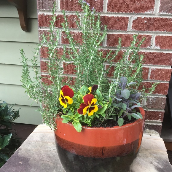 Meet your Posher, Monika - Picture 1 of 1